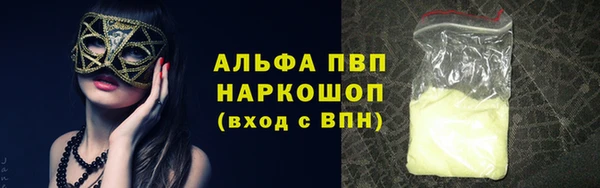 spice Беломорск