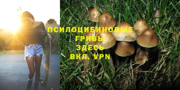 spice Беломорск
